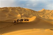 新疆之旅，愛上著遼闊無際大沙漠